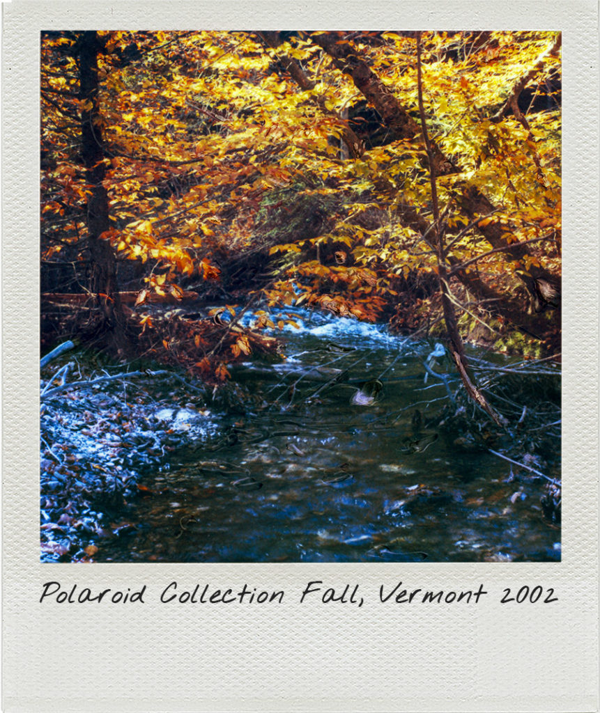 River Vermont 2002 600,00 TL