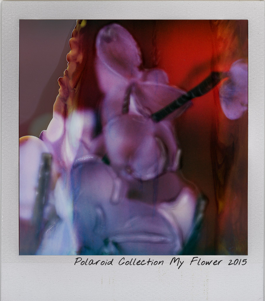 Polaroid New Collection - My Flower 600,00 TL